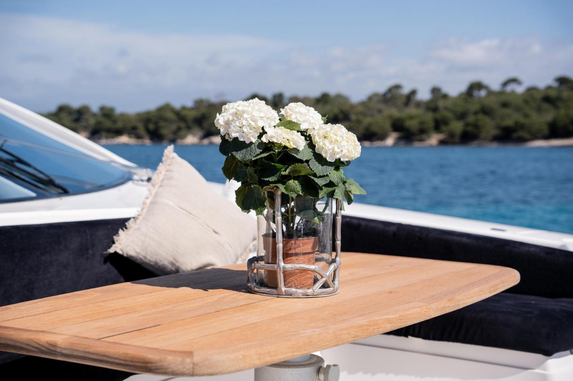 Palumba * Cannes